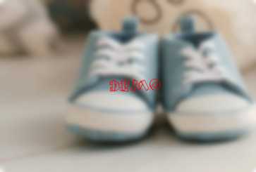 collection-3